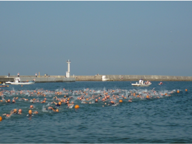 スイムスタート