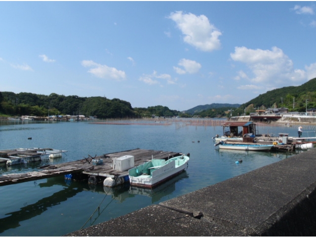 迫子から英虞湾の眺め