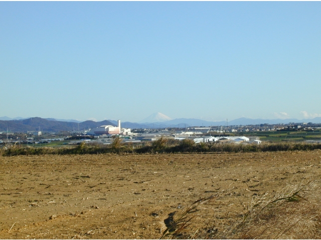 富士山