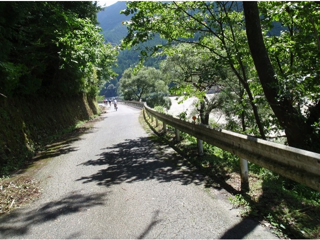 天竜川左岸の県道