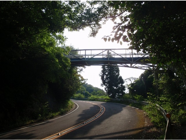 途中こんな歩道橋を渡ります。