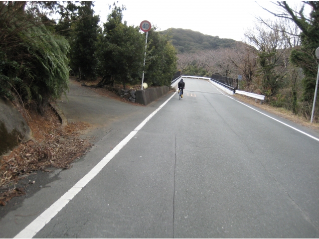 大谷峠（静岡県三ヶ日町）を快走する＝谷プロ
