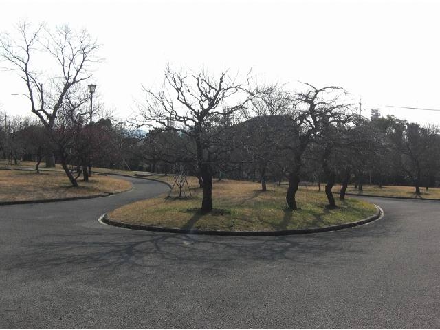 向山梅林園