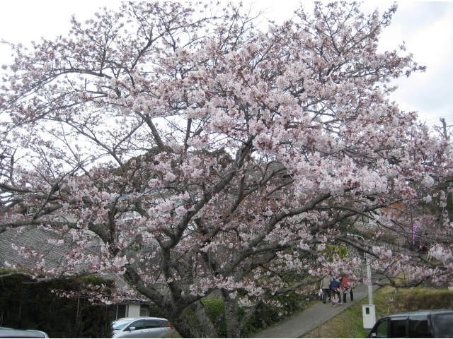 奥山高原