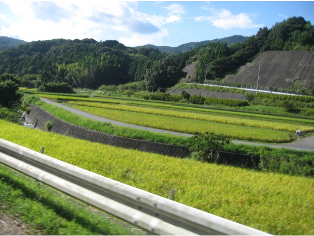 奥山高原