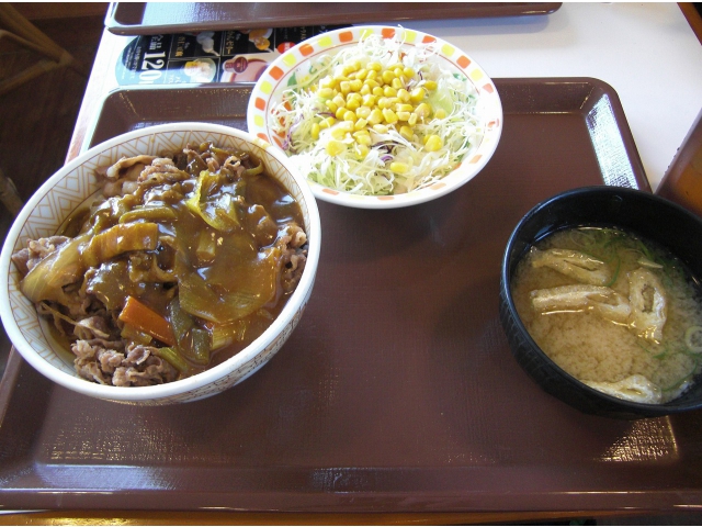 カレー南蛮牛丼