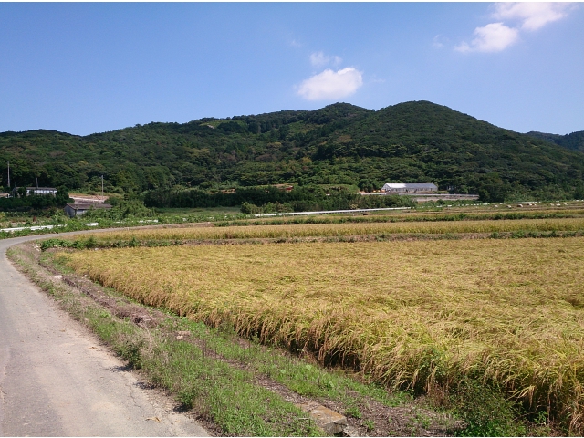 田園を駆け抜け・・