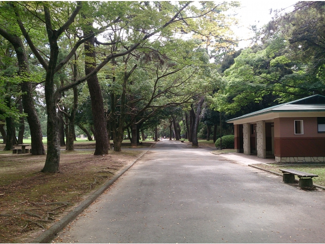 豊橋高師緑地