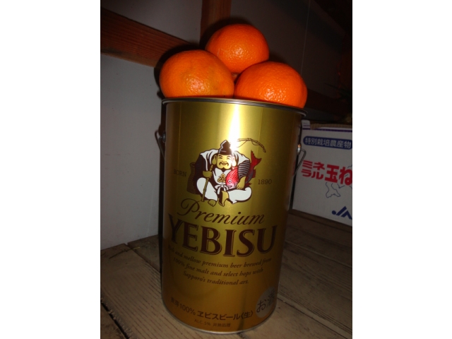 年明けすぐに飲むビールはいつもよりちょっと高め。今回も準備万端。