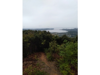 二三月峠、浜名湖の展望がグットっす👍