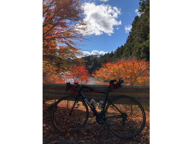 三河湖の紅葉！天気も最高っす！