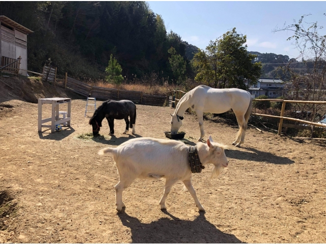 動物さんがお出迎えしてくれます。
癒される～～～～