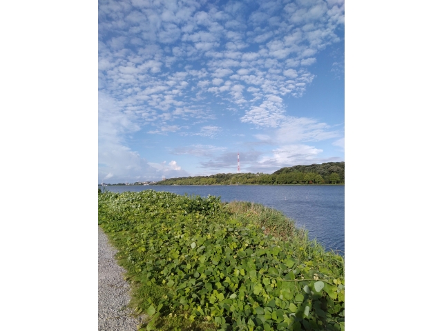 佐鳴湖一周ウォーキング（約6ｋｍ）暑さも有っていっぱいいっぱいです。