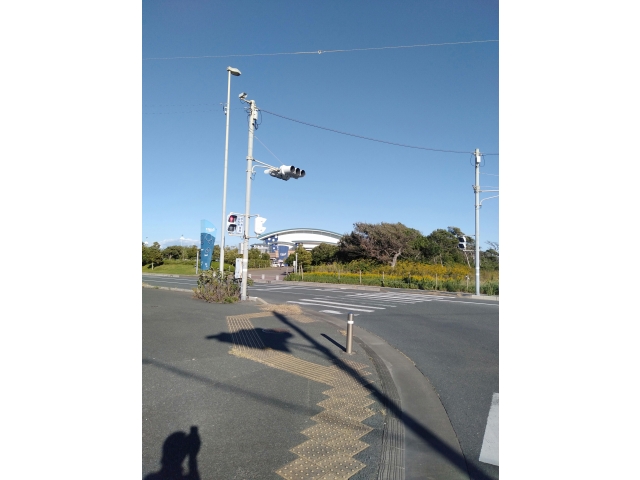 やっと浜松へトビオはまだまだだな～