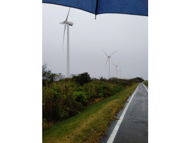 今日は残念ながら☔花見でもしながら歩こうとも思ったすがいつもの竜洋公園へ