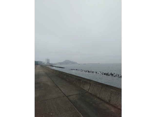 伊良湖までもう少し！少しぱらぱら来たが何とかもちました(^^♪