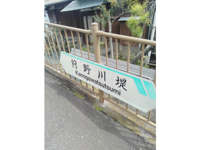 狩野川！昔、ふるさとのかの川って狩野川だと思ってたんだよな～(&gt;_&lt;