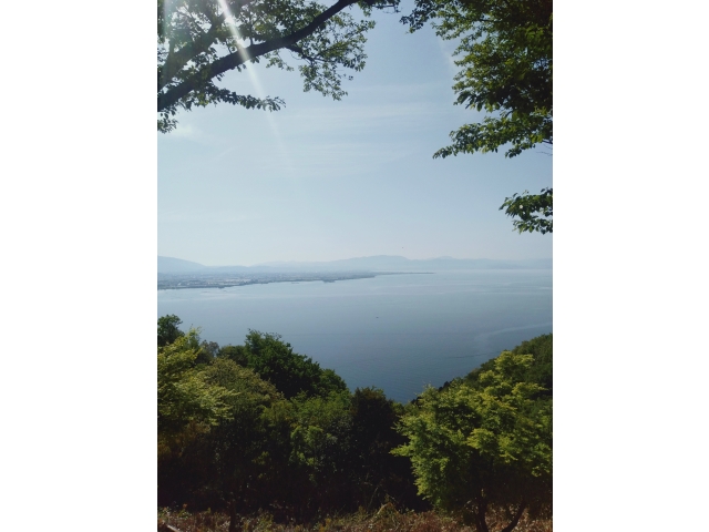 見た目長浜が近いのだけど💦