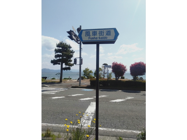 さざなみ街道の対岸は風車街道って言うんだ(´・∀・｀)