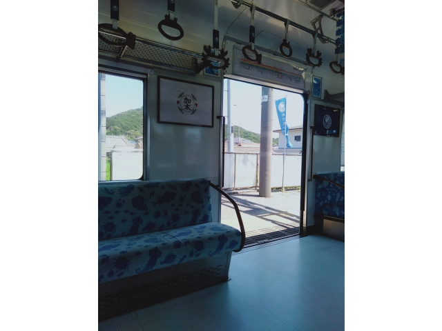 歩きとは言えだいぶ鉄分を失いました。電車に乗って鉄分補給っす(;・∀・)