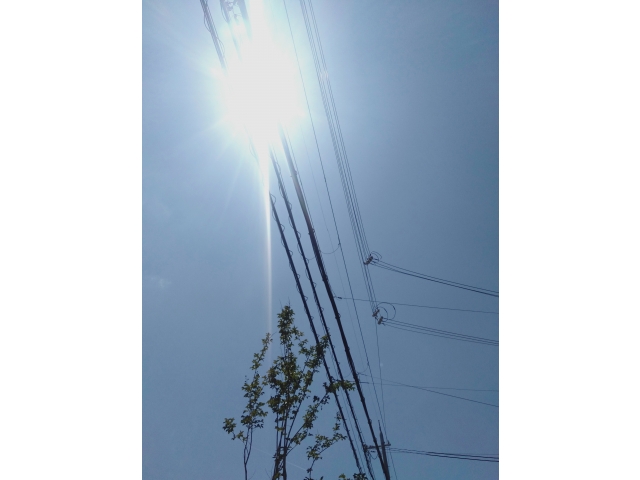う～ん・・・今日も良い天気です(;^_^A