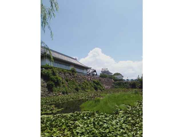 岸和田城🏯今回は通過のみです(;'∀')