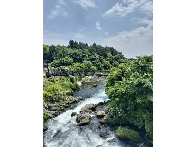 白糸の滝近くの川！水が綺麗っす！！