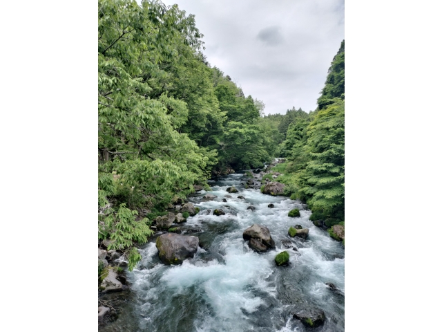 田貫湖近くの川⁉水が綺麗っす💦