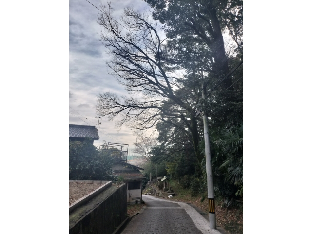 旧東海道・・・こう言う所がいいんだよね(;'∀')