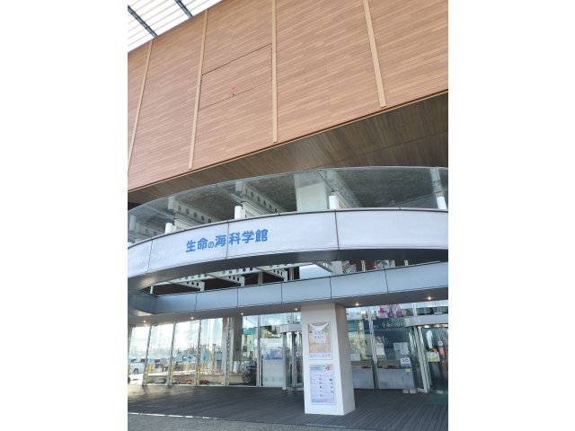 今年は15:30に到着！ずっと気になっていた生命の海科学館を見学っす！