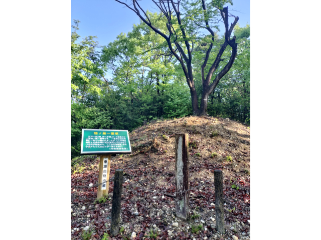 一里塚が一対現存するのは貴重だね🎶