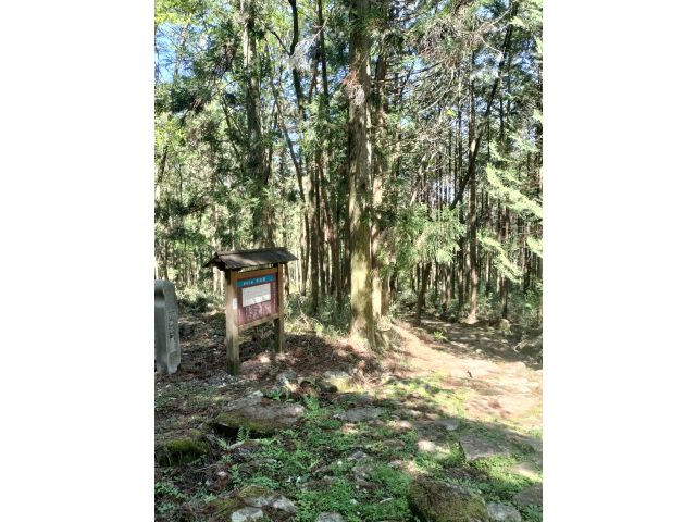 琵琶峠下り！以前はもっとヨタヨタだったが少しレベルアップしたかな(^^♪