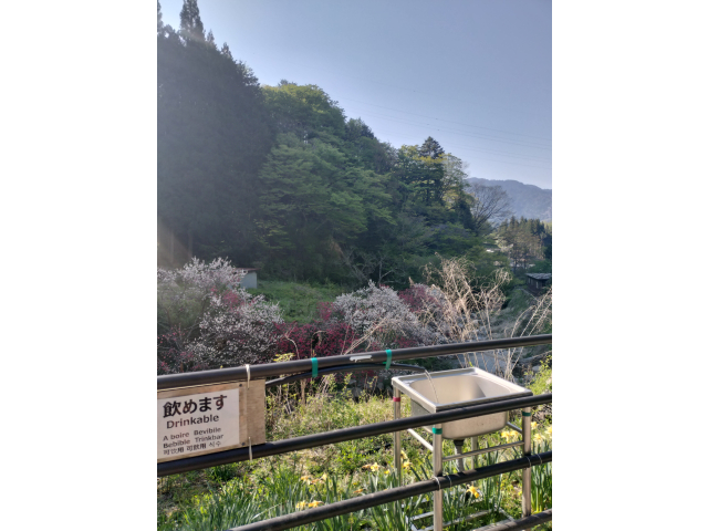 飲めます・・・頂きました💧