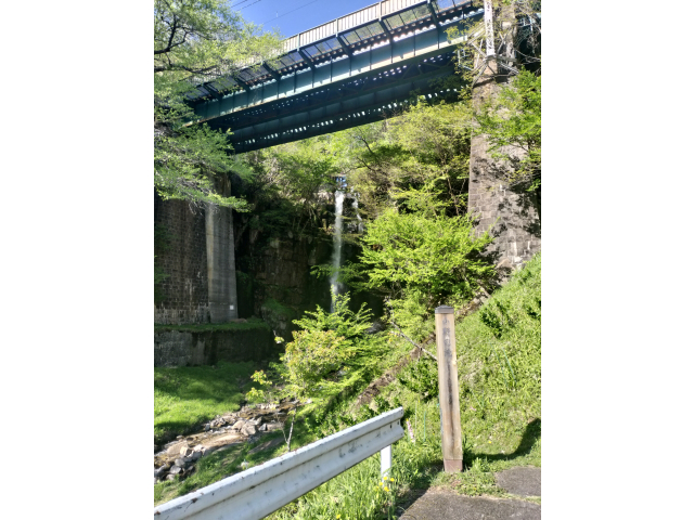 本日は暑くてダレダレっす(;・∀・)