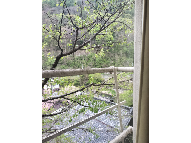 寝坊してまいました💤