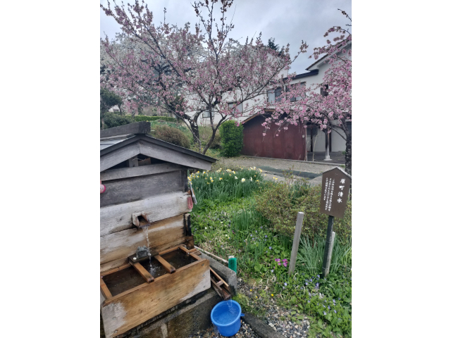 中山道の所々に水場が💧有難く頂きます☺️