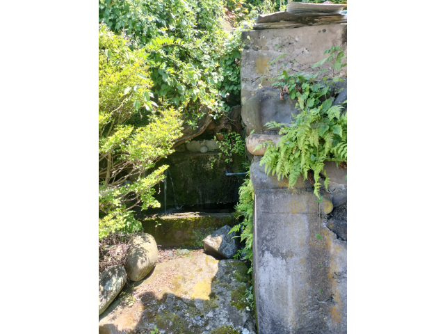たまに有る湧き水で給水しまくりっす💧