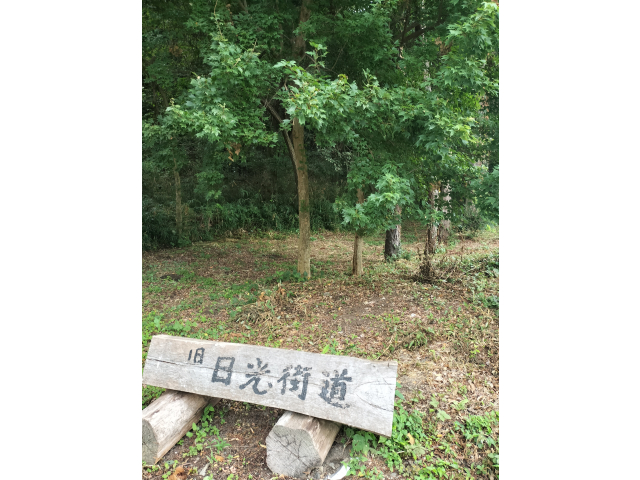 赤道(あかみち)って言葉を初めて知りました！色々と知らない事だらけっす🧐