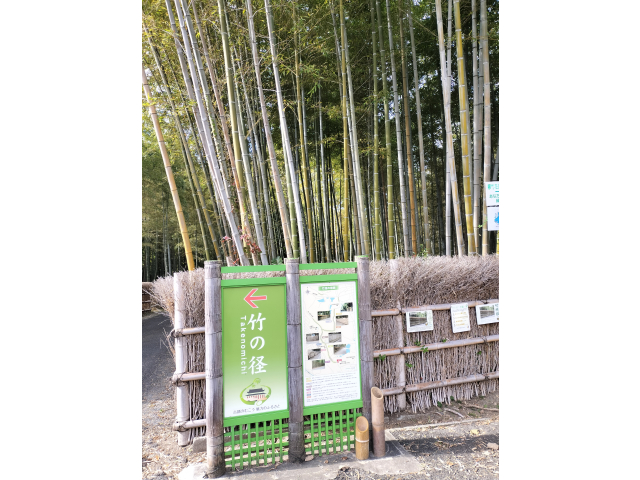 一応一枚だけパシャリ！いや～ほとんどぼやけてました(*^^*)