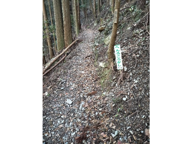 遍路ころがし6/6！ファイトっす！