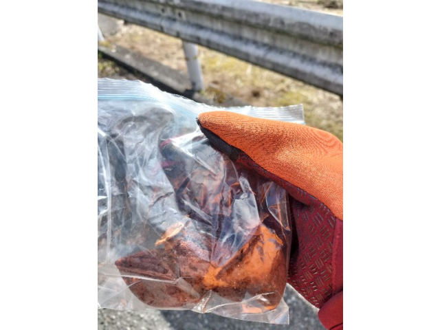 途中干し柿頂きました。ものすごく有難いです☺️