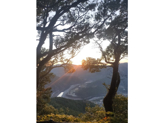鶴林寺に上る途中でお日様登場！だいぶ良い景色になって来ました(^^♪