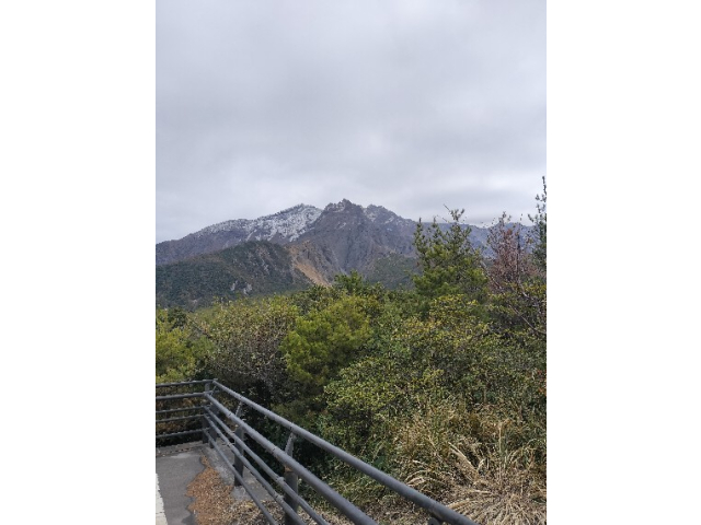 湯ノ平展望所での桜島🏔天気が微妙っす！