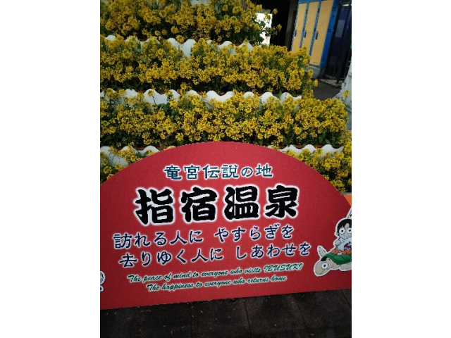 菜の花が咲き乱れていました(^^♪