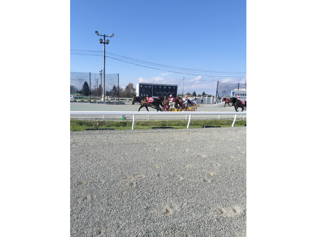 帯広競馬場でばんえい競馬！残念ながら外れたが😅