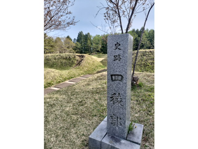 先ず四稜郭を見学！花桃が綺麗に咲いていて👍
