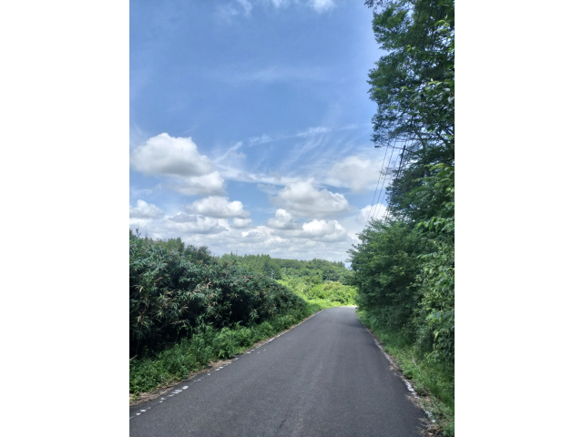 う～ん良い天気🌤
