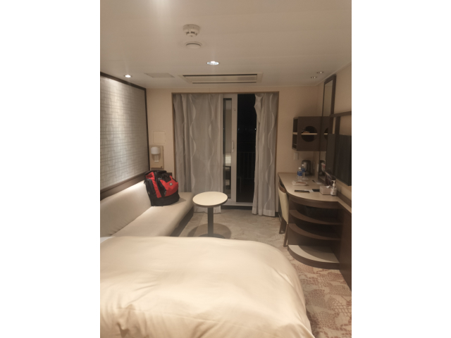 帰りは商船三井さんふらわあ🚢プレミアムルーム豪華すぎて落ち着かないのですが(;・∀・)